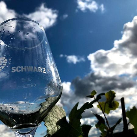 Apartament Weingut Martin Schwarz Meißen Zewnętrze zdjęcie