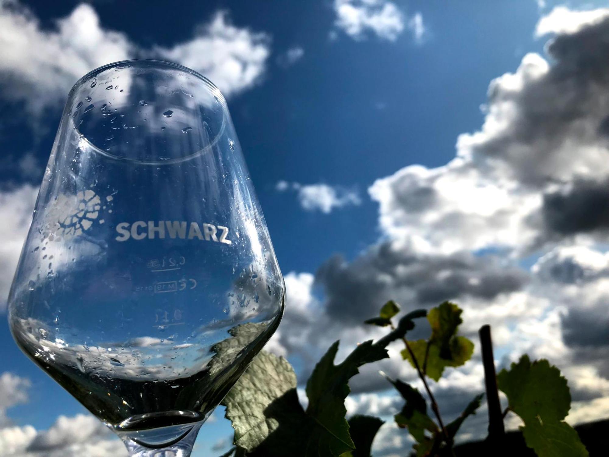 Apartament Weingut Martin Schwarz Meißen Zewnętrze zdjęcie