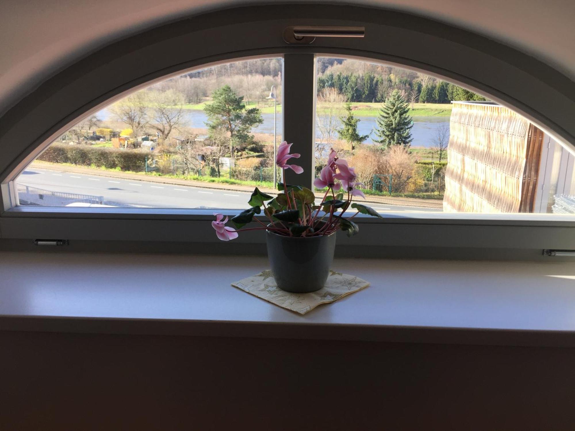 Apartament Weingut Martin Schwarz Meißen Zewnętrze zdjęcie