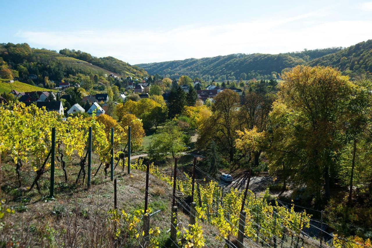 Apartament Weingut Martin Schwarz Meißen Zewnętrze zdjęcie
